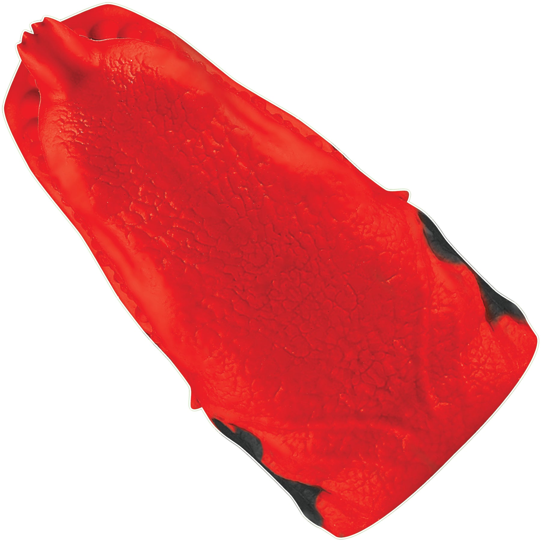 Dragon Tamer Silicone Penis Stroker By Creature Cocks - Red