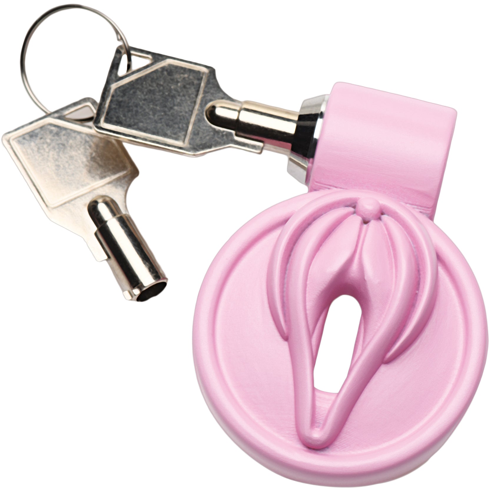 Master Series Pussification Vulva Chastity Cage