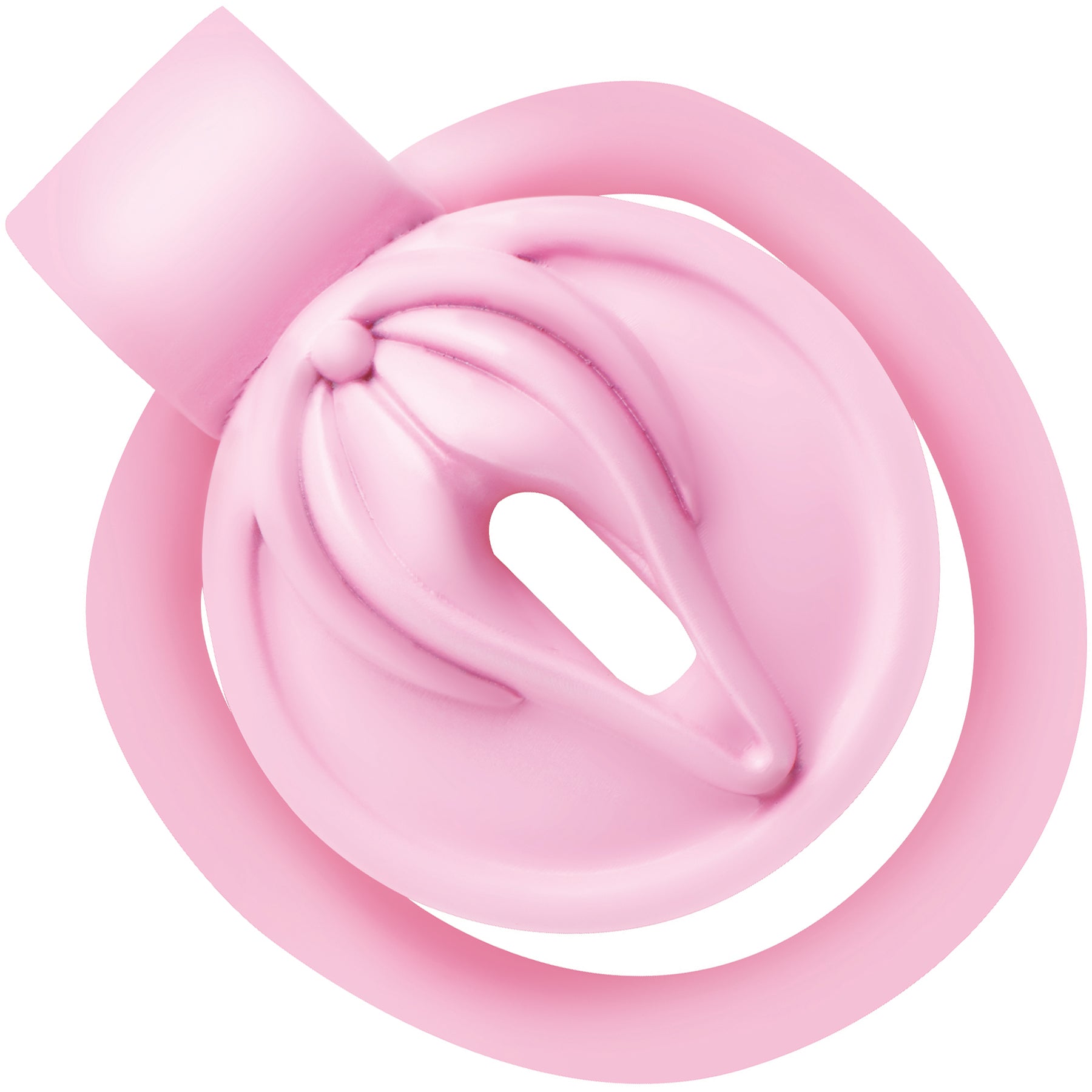 Master Series Pussification Vulva Chastity Cage