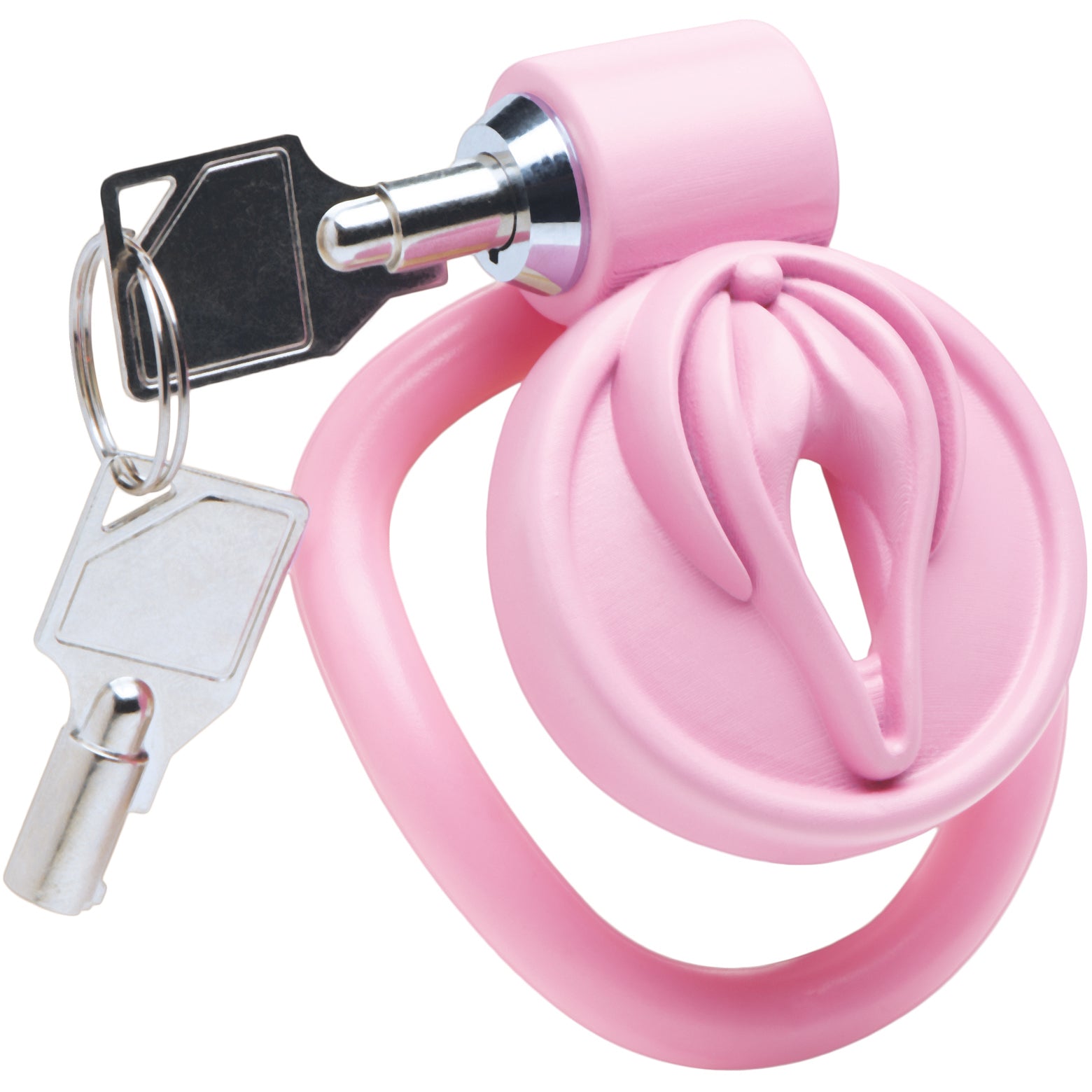Master Series Pussification Vulva Chastity Cage