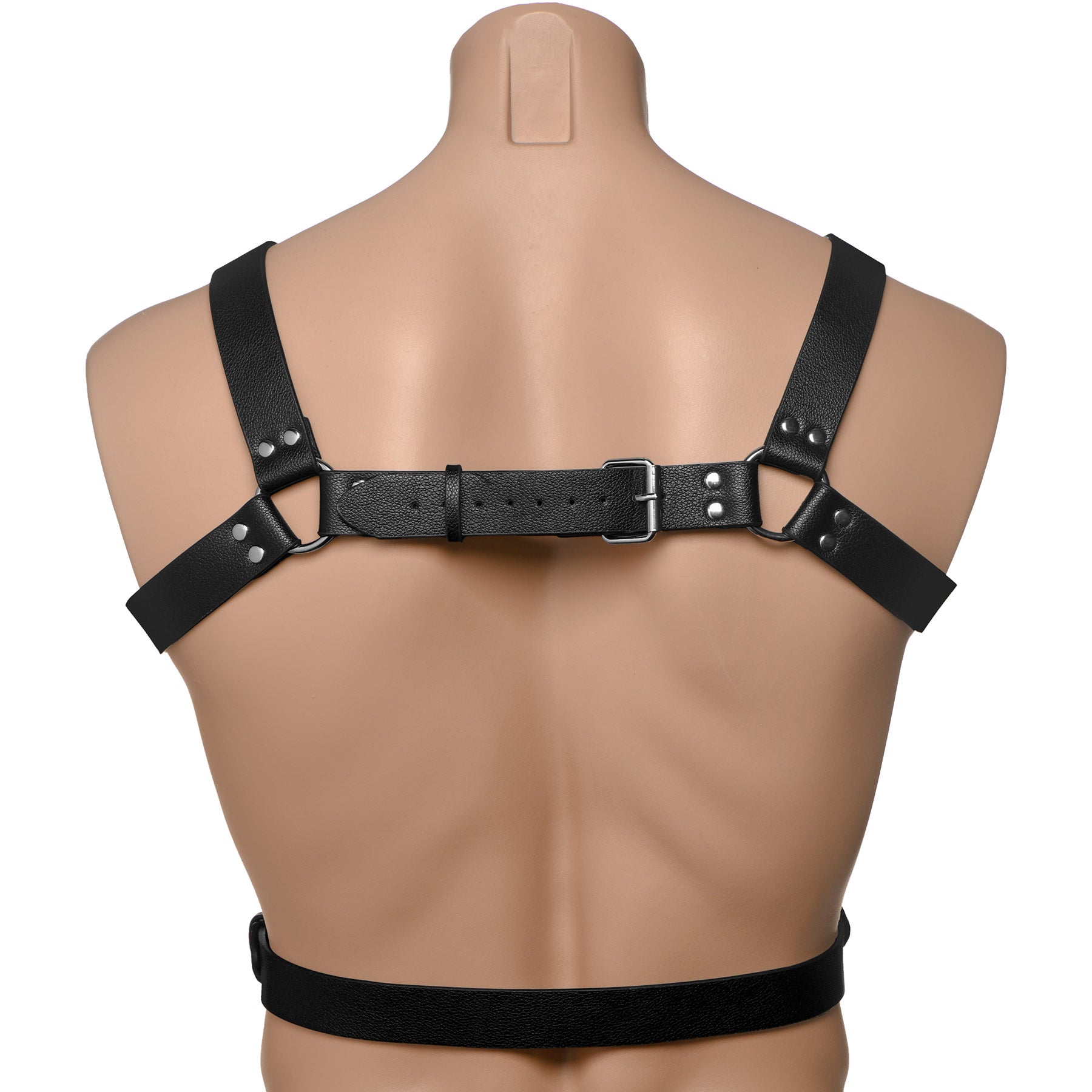 Strict 6 O-Ring Chest Harness