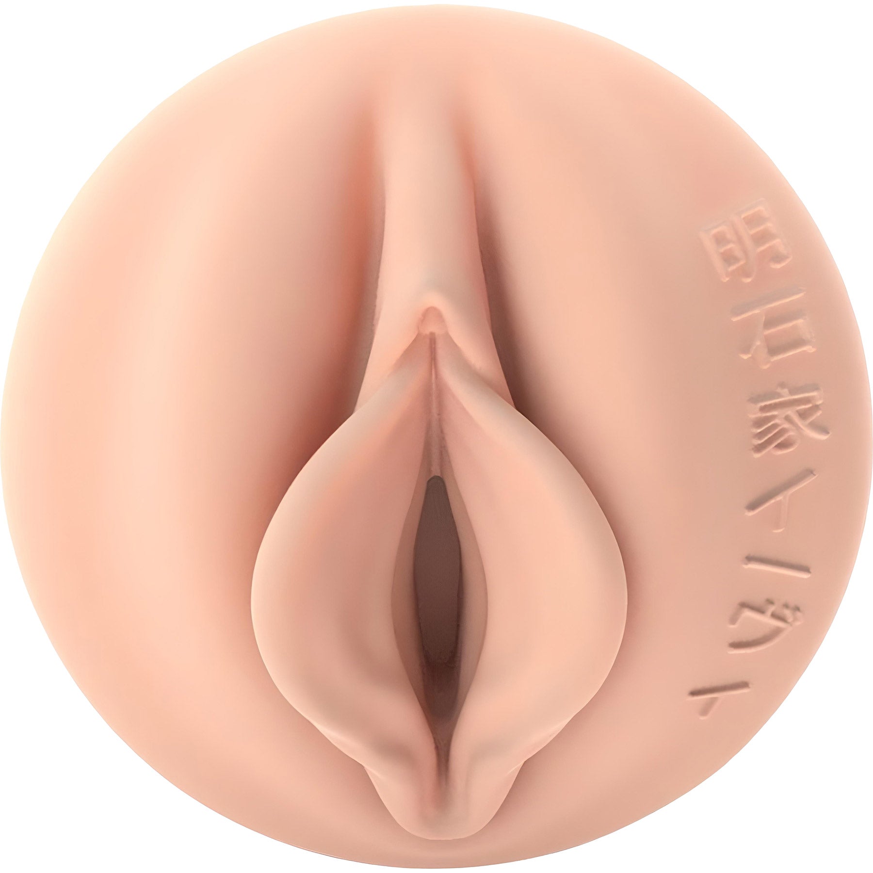 Fleshlight Fantasy Evie Akashiya - Sho Akuma Vagina Texture
