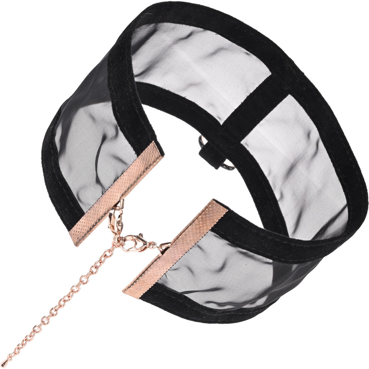 Sex & Mischief Sheer Day Collar By Sportsheets