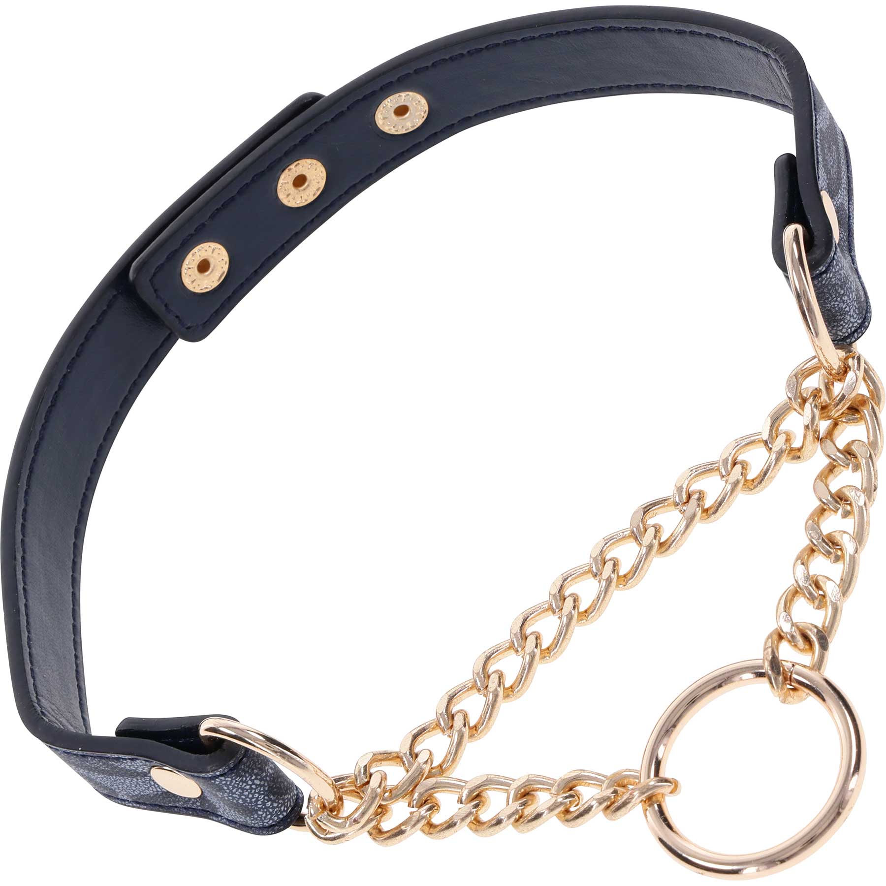 Sex & Mischief Cougar Day Collar By Sportsheets