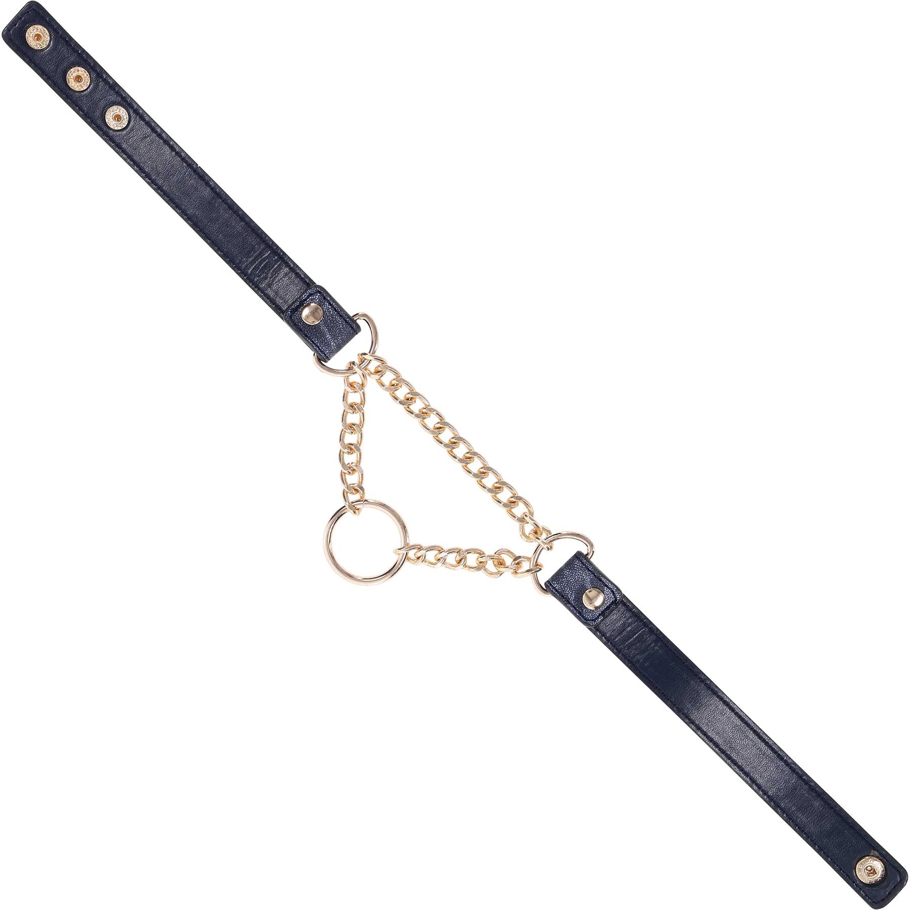 Sex & Mischief Cougar Day Collar By Sportsheets