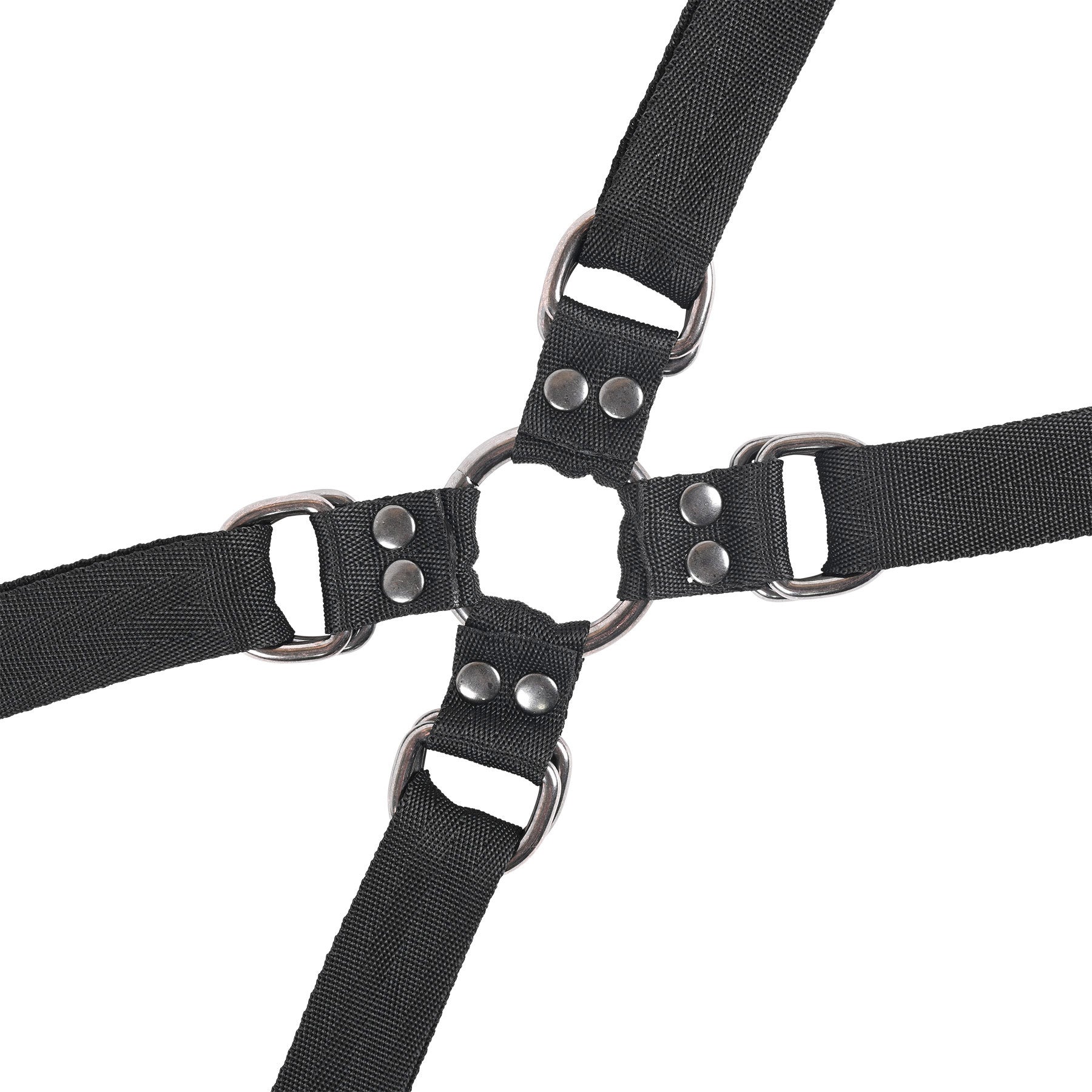 Black harness with metal buckles on a white background