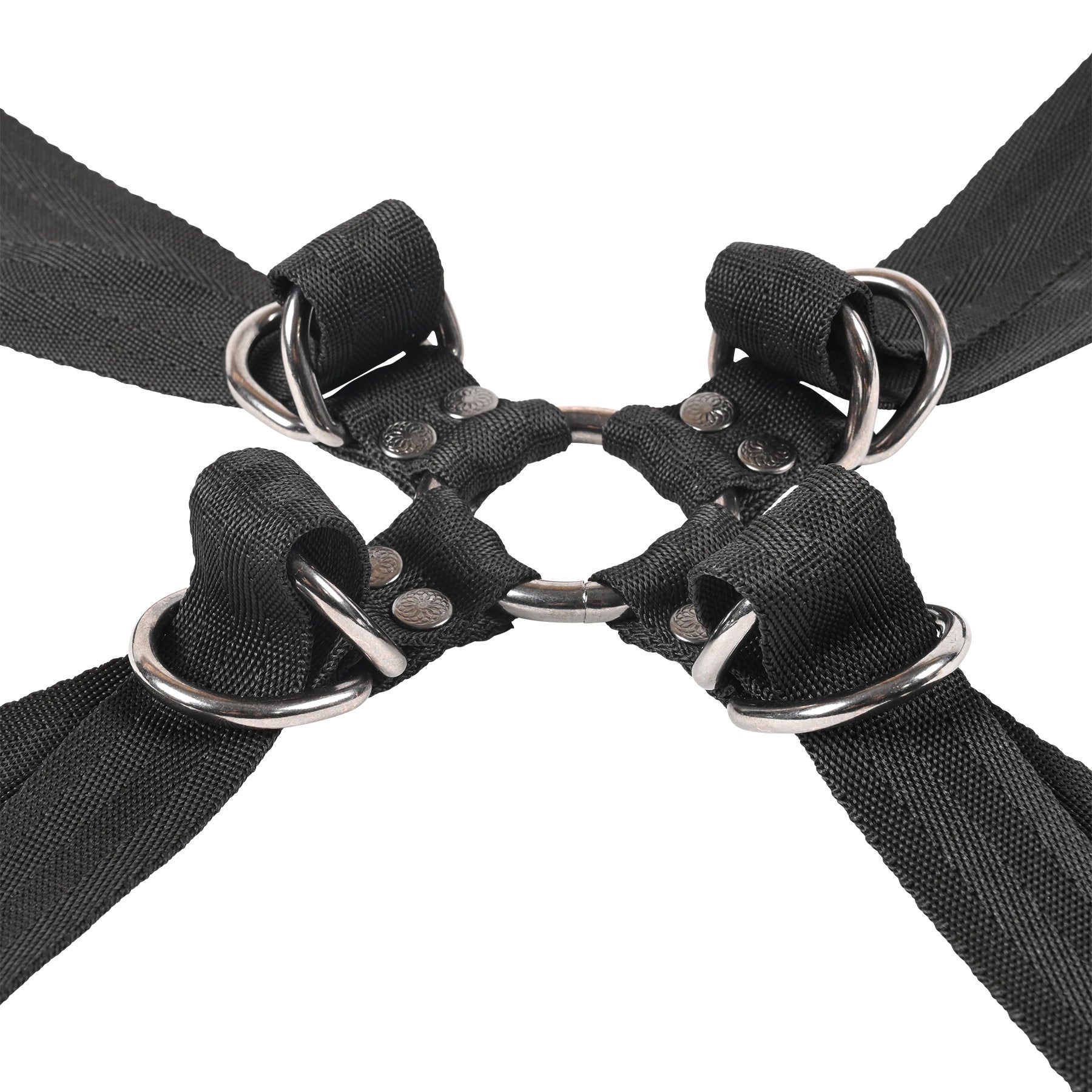 Black harness with metal rings on a white background