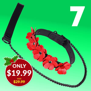 Red Leather Flowers Collar With Leash By Liebe Seele