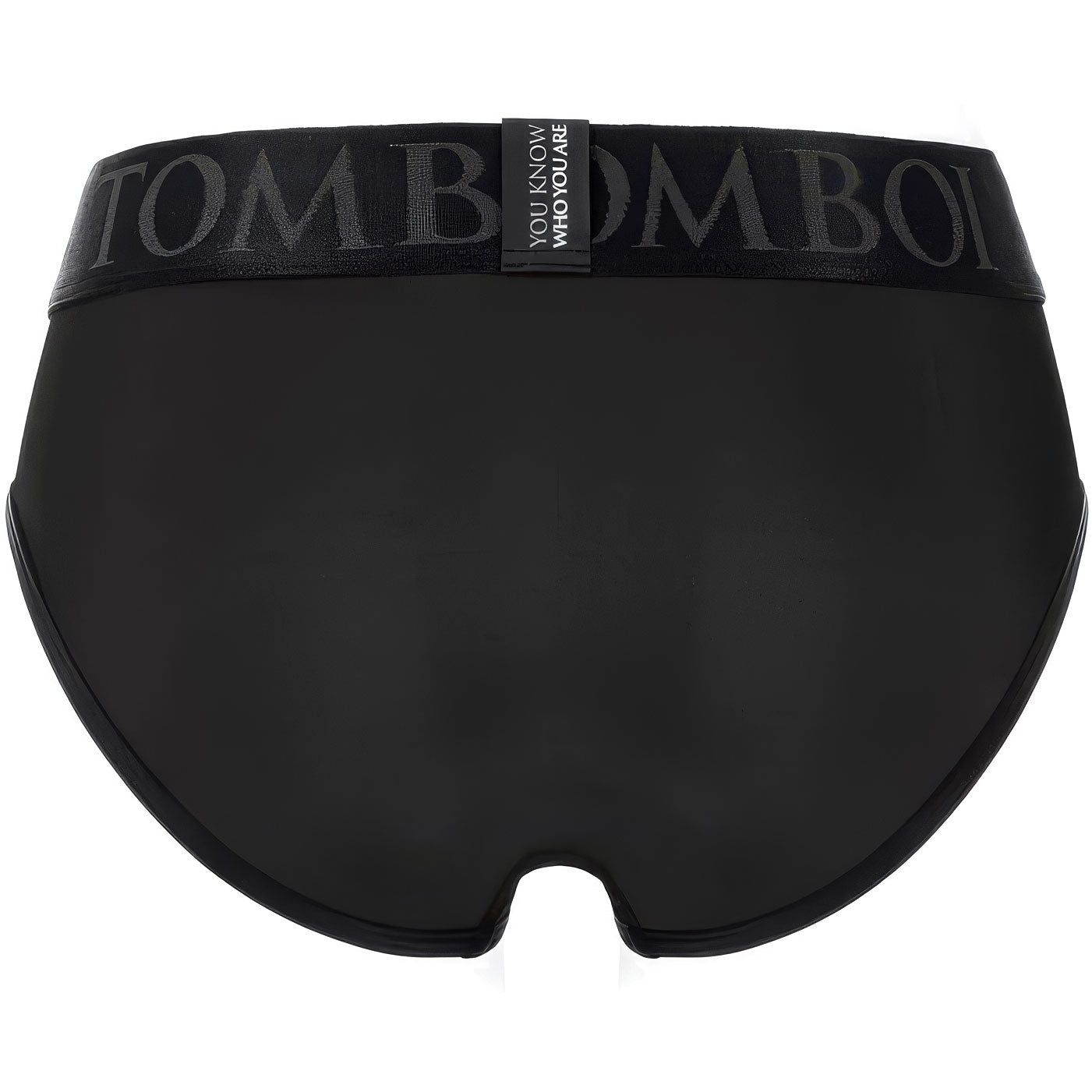 SpareParts Tomboi Cover Harness Briefs - Blackout