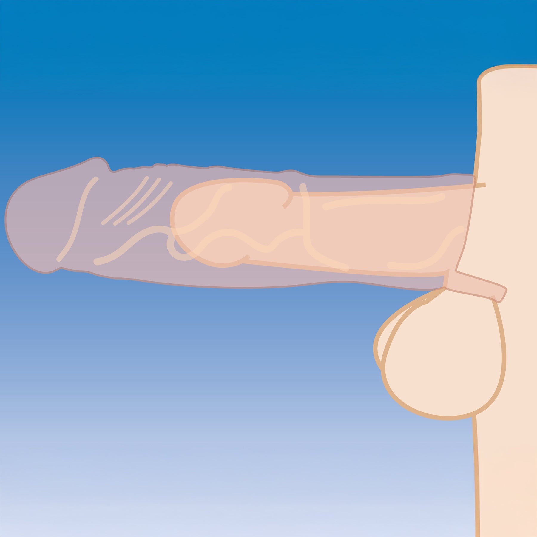 Size Matters Silicone 2" Penis Extender Sleeve