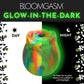 Bloomgasm Glow Rose Glow In The Dark Rechargeable Clitoral Pressure Wave Stimulator - Rainbow