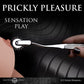 Master Series Silver Sensation Wartenberg Pleasure Wheel