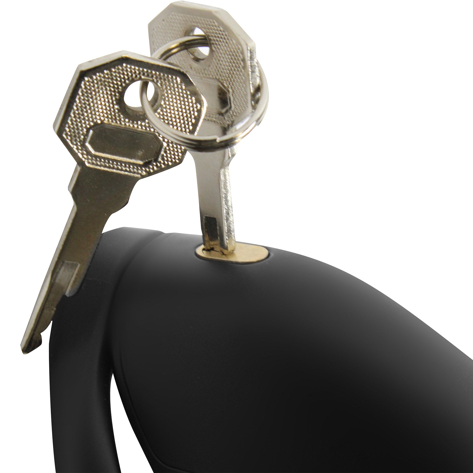 Master Series Captor Chastity Cage