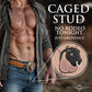 Master Series Bull Chastity Cage With 4 Gradually Sized Rings - Black
