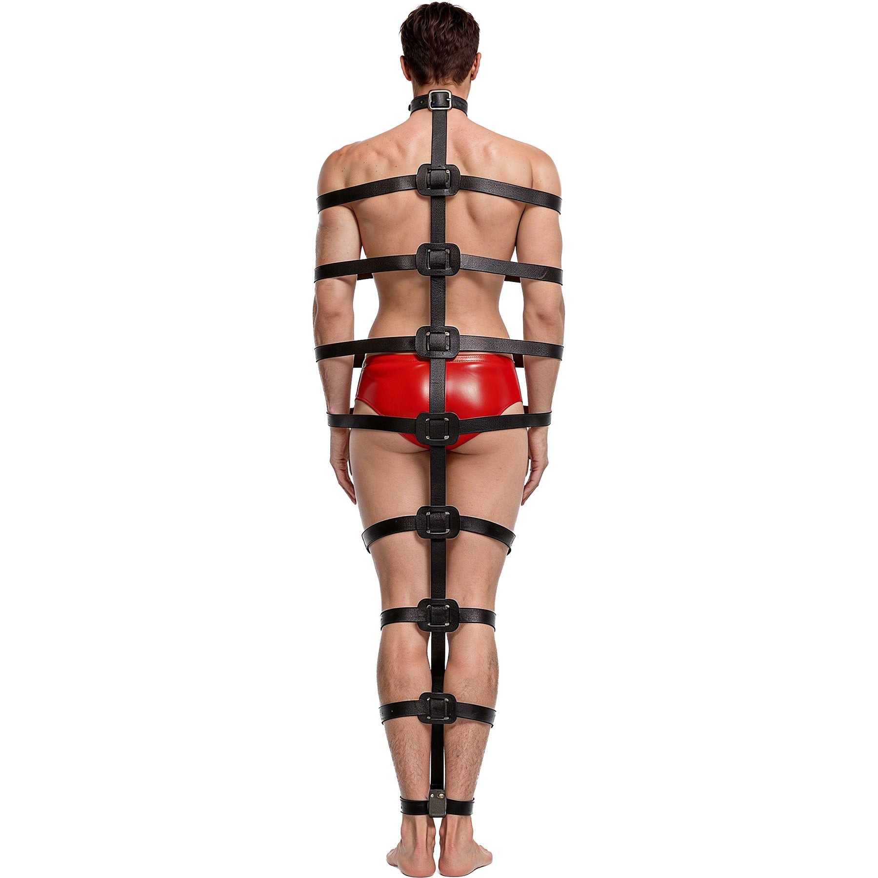 Master Series Backbone Full Body Harness