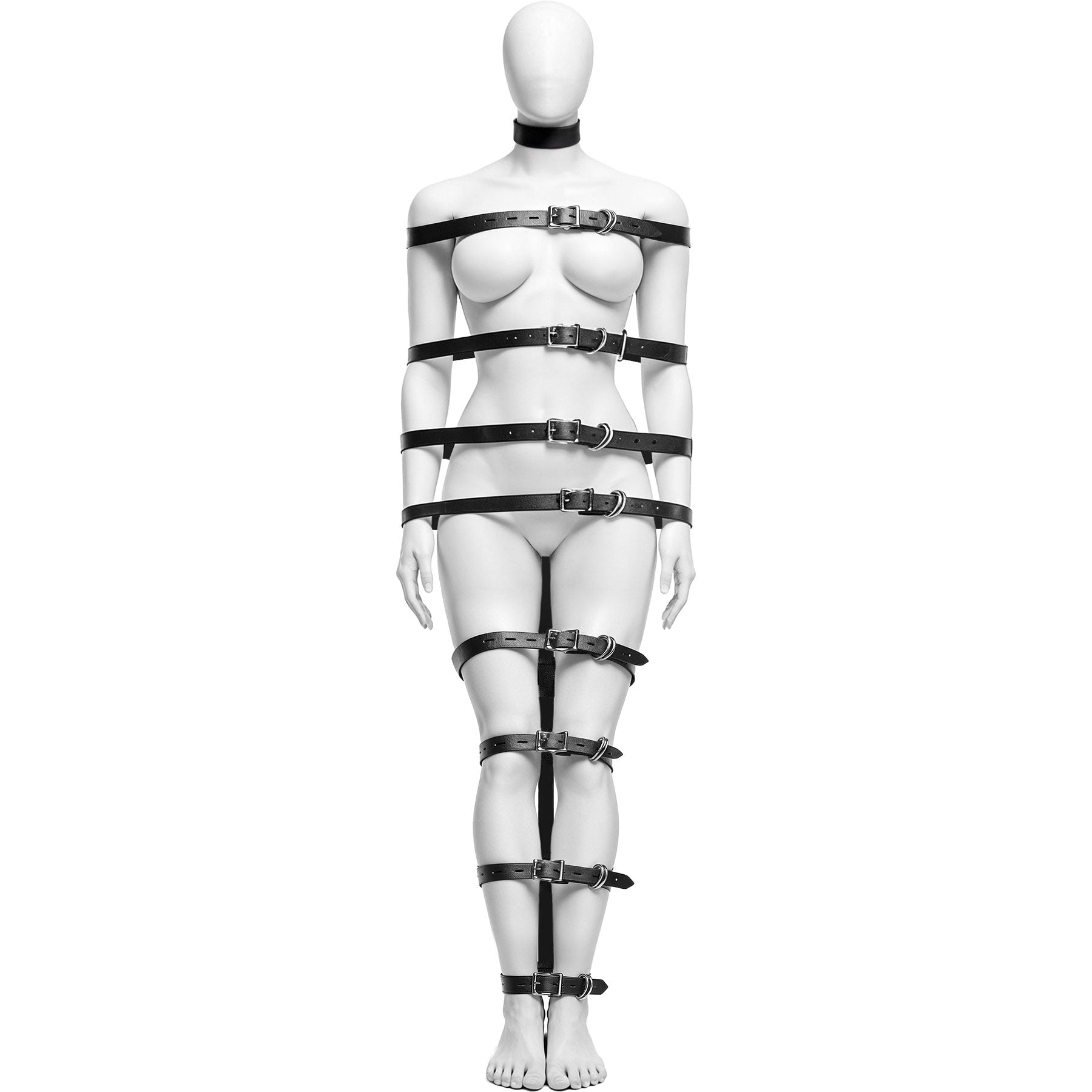 Master Series Backbone Full Body Harness