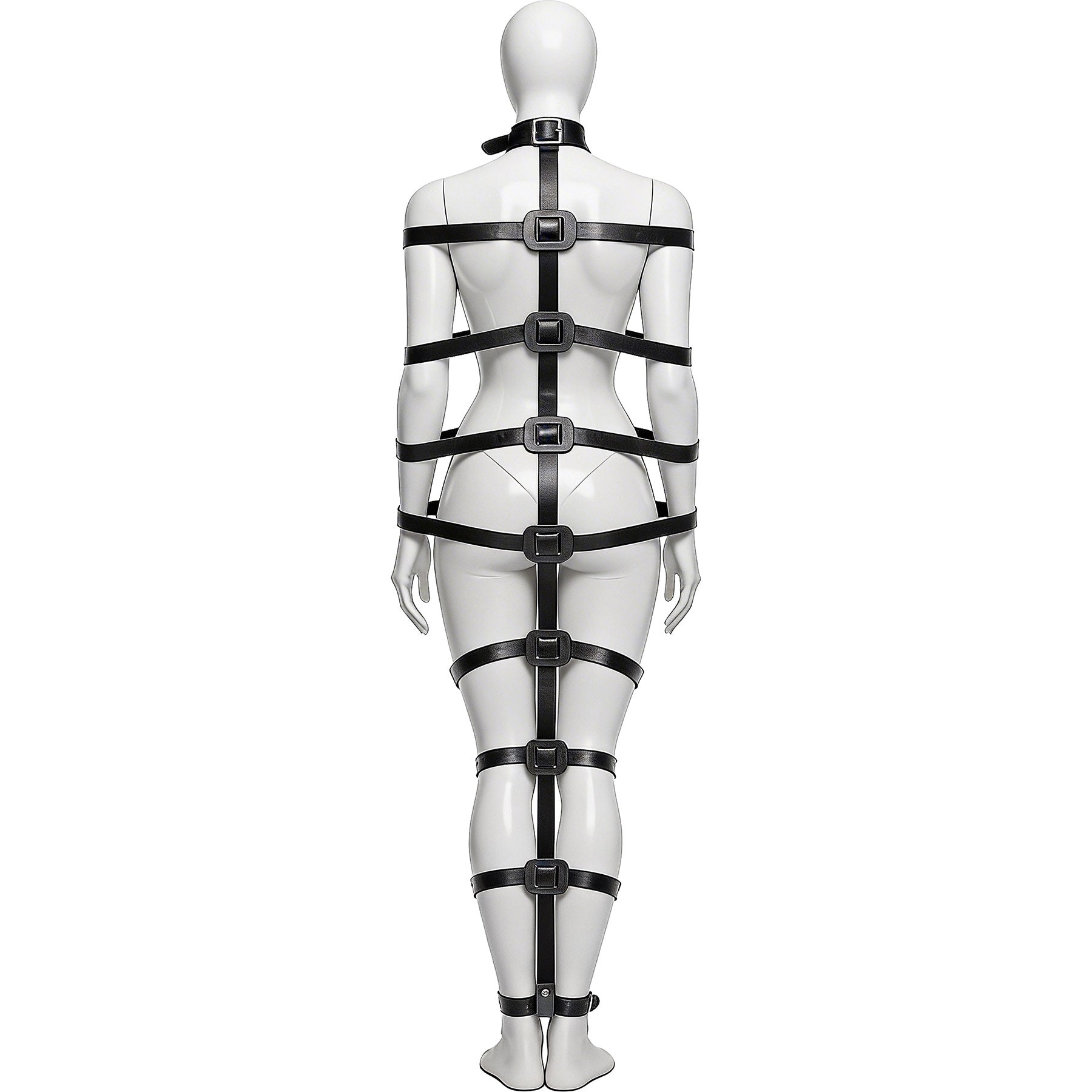 Master Series Backbone Full Body Harness