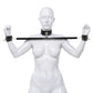 Master Series Stainless Steel Dominion Bar With Collar & Restraints