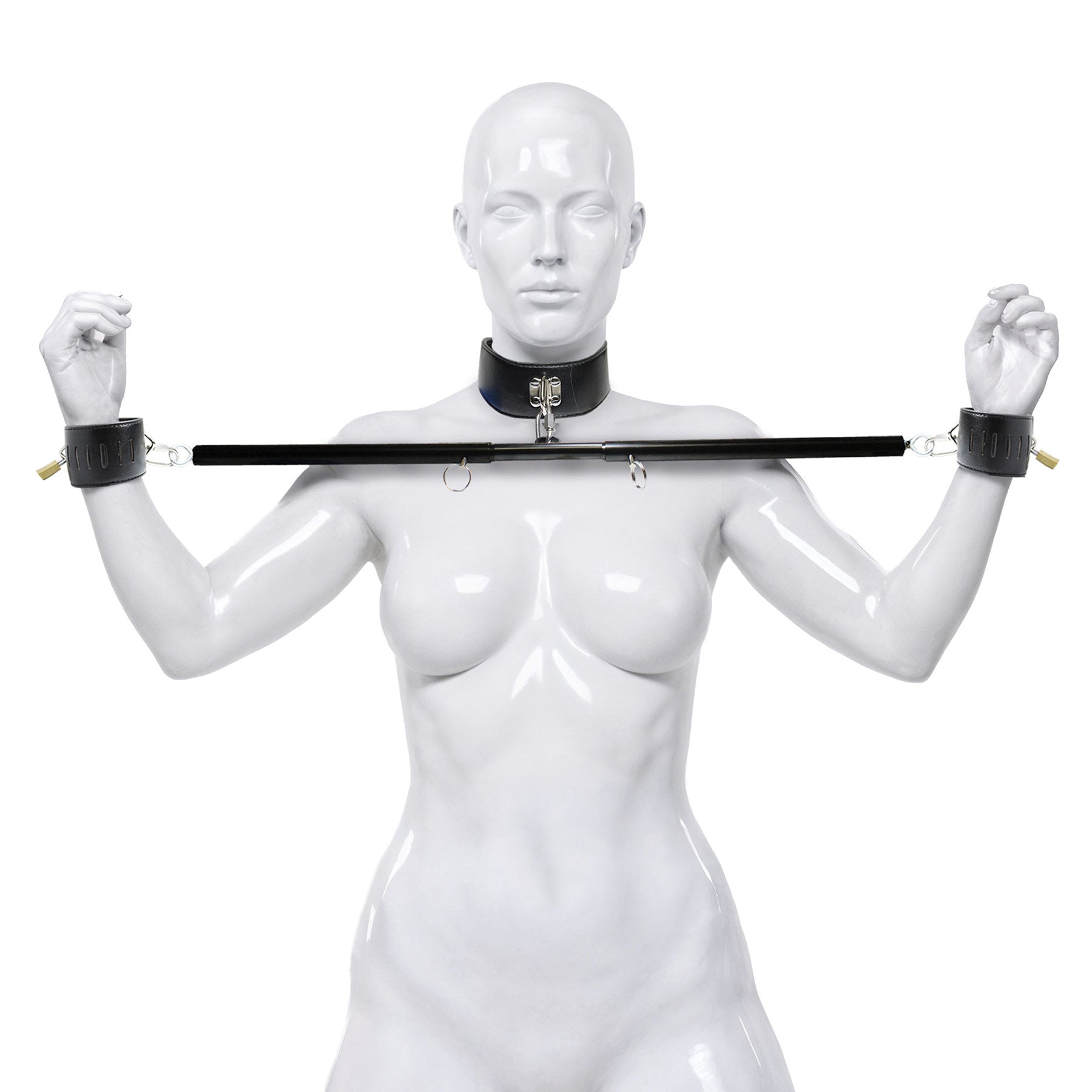 Master Series Stainless Steel Dominion Bar With Collar & Restraints