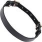 Sex & Mischief Double Buckle Day Collar By Sportsheets - Black & Gold