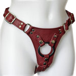 Aslan Jaguar Harness - Cherry