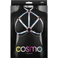 Cosmo Crave Chest Harness Small / Medium - Rainbow