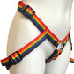 Inclusion Rainbow Strap-On Harness - Size B Fits Hips Up To 65"