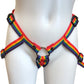 Inclusion Rainbow Strap-On Harness - Size B Fits Hips Up To 65"