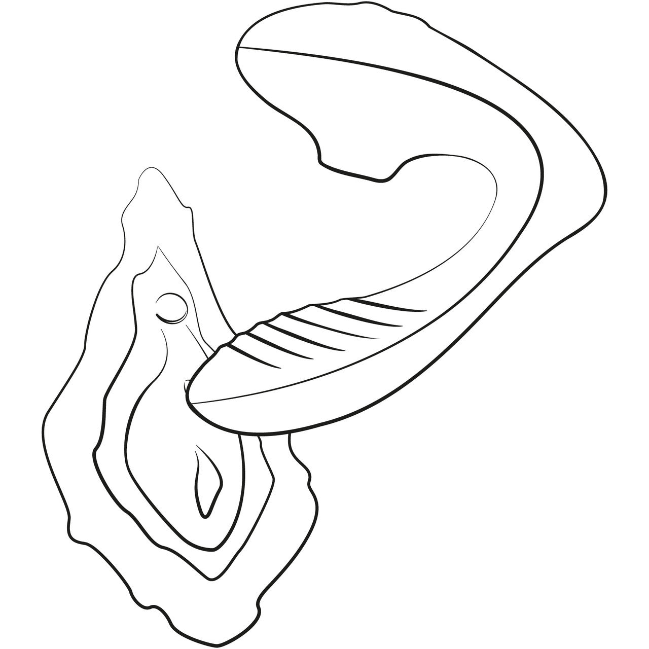 ROMP Reverb Silicone Rechargeable Dual Stimulation Pressure Wave Vibrator - Use Diagram