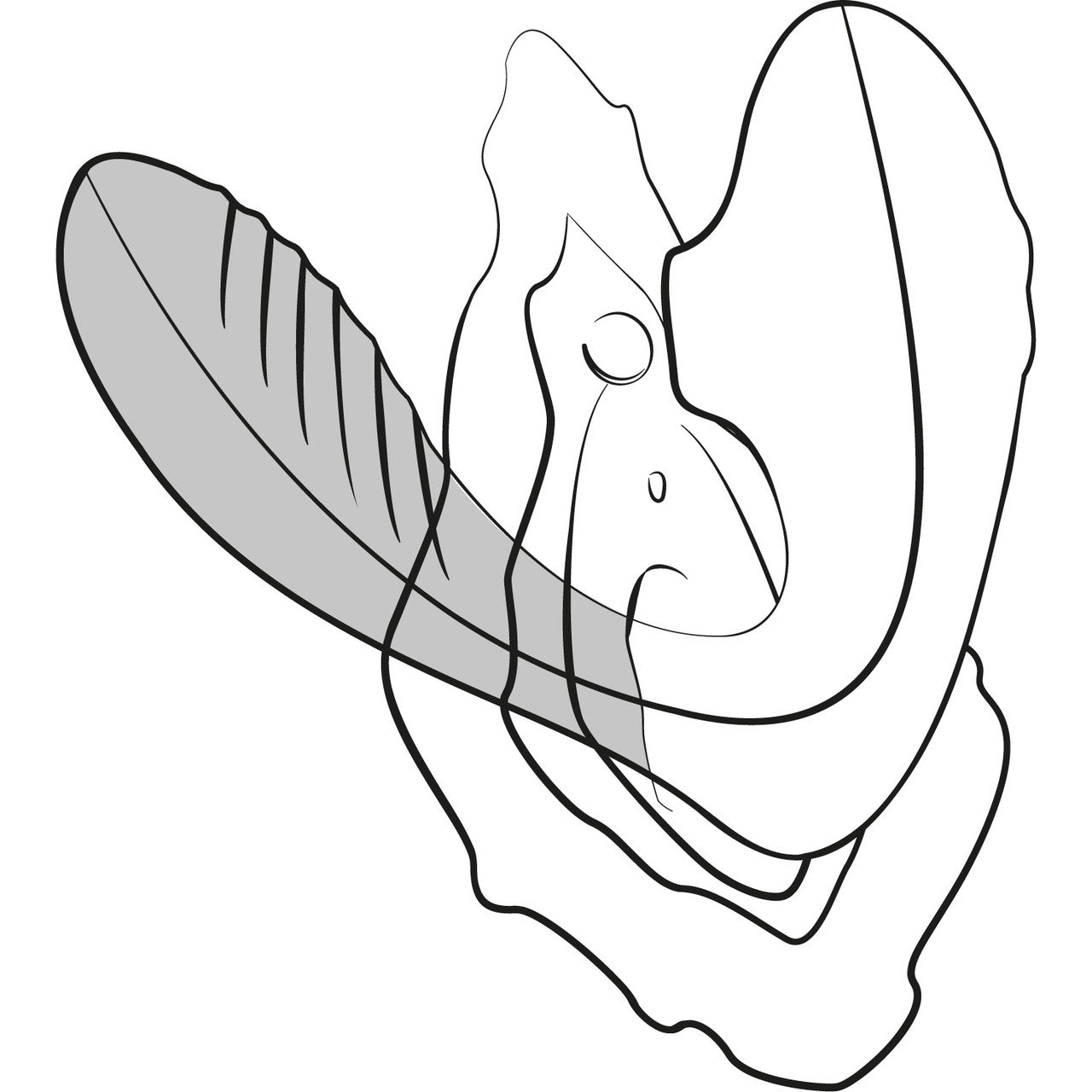 ROMP Reverb Silicone Rechargeable Dual Stimulation Pressure Wave Vibrator - Use Diagram