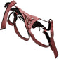 Her Royal Harness The Regal Queen O-Ring Harness by CalExotics - Red