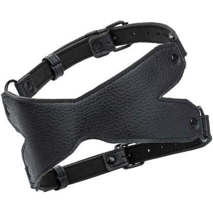 Nocturnal® Collection X-Mask CalExotics