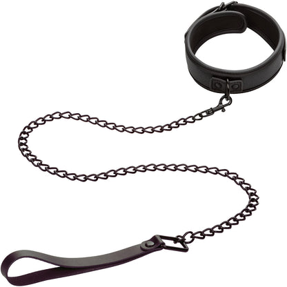 Nocturnal Collection Collar & Leash By CalExotics