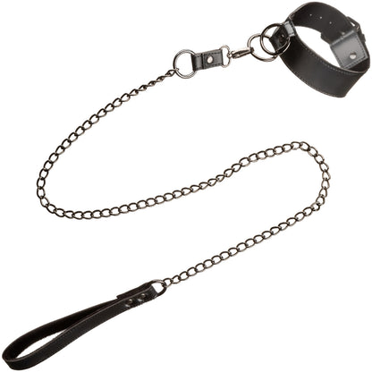 Euphoria Collection Collar With Chain Leash By CalExotics