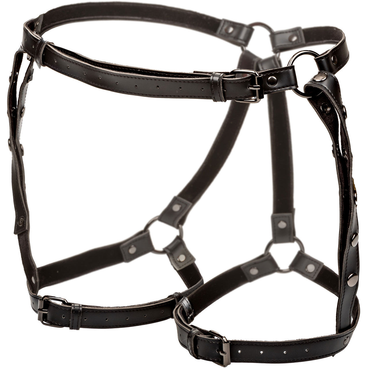 Euphoria Collection Plus Size Riding Thigh Harness By CalExotics