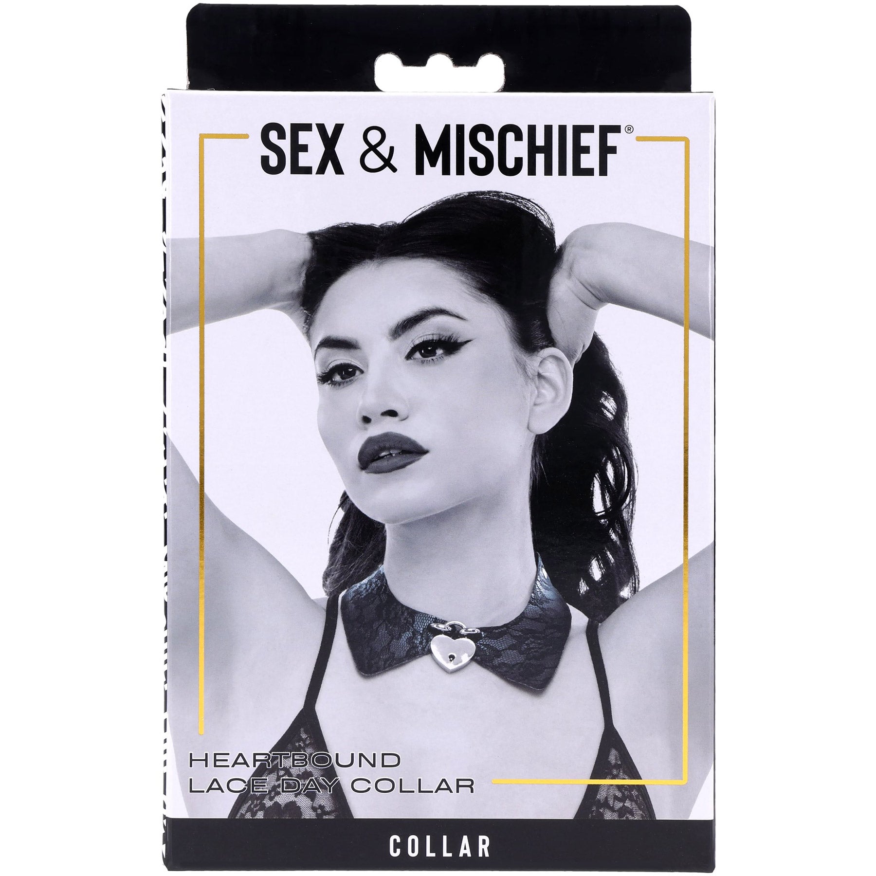 Sex & Mischief Heartbound Lace Day Collar By Sportsheets