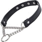 Sex & Mischief Shadow Day Collar