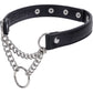 Sex & Mischief Shadow Day Collar