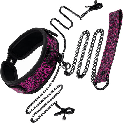 Whipsmart Dragon's Lair Collar, Leash & Nipple Clips Set