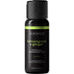 Wicked Sensual Massage Oil - Lemongrass + Ginger 4 fl oz