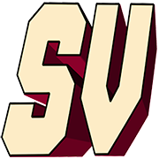 SheVibe Pleasure Boutique logo
